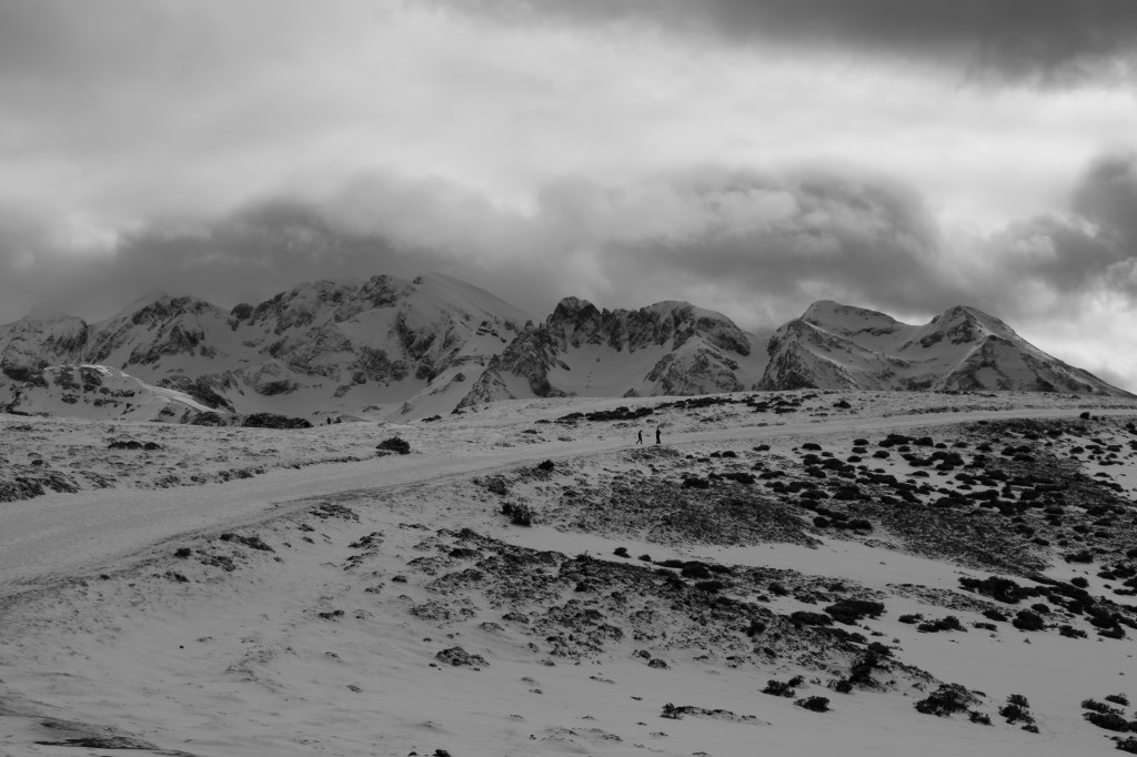 Notes on the Inescapable and Irremediable Solitude of Grief (and learning to cherish&nbsp;it)